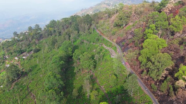Aerial Tracking Shot of Red Bus Driving Through Mountain Road in Sri Lanka