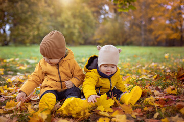 Children in yellow raincoats in an autumn park among yellowed fallen leaves, autumn walk