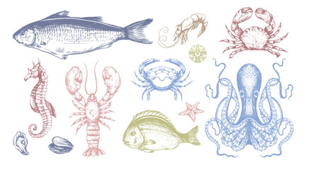Fish sea vector isolated illustration with crab octopus seahorse shrimp lobster and starfish
