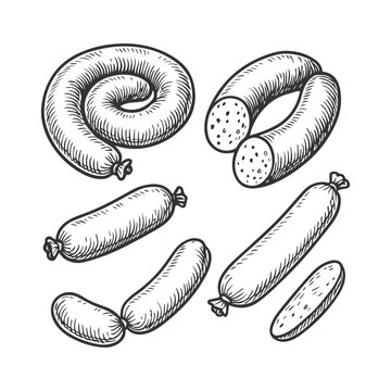 Doodle sausage sketch set, hand drawn food engraving.