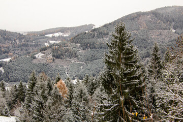 View over the valley with snow covered forest 