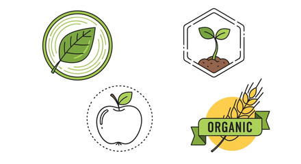 Illustrations of organic leaves fruit wheat and sprouting plants in vector style