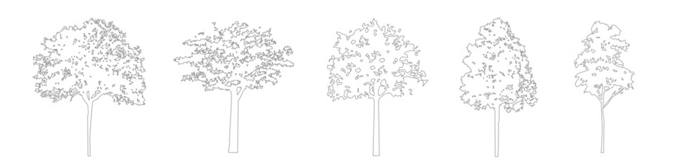 Naklejka premium Architectural CAD Tree Drawing Linework, Minimal Side View Trees for Architecture and Landscape
