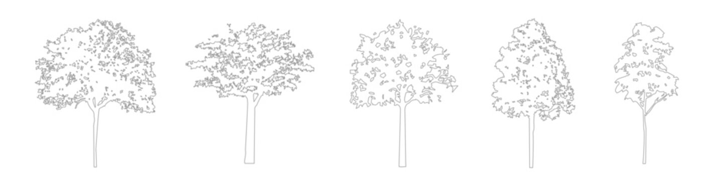 Architectural CAD Tree Drawing Linework, Minimal Side View Trees for Architecture and Landscape