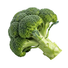 Broccoli on black background