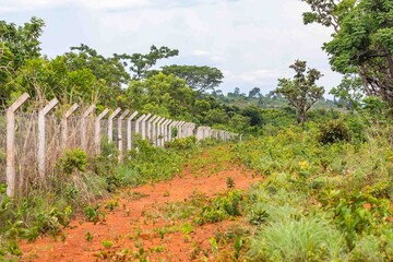 Rural Path Alongside a Concrete Fence in Lush Green Landscape
