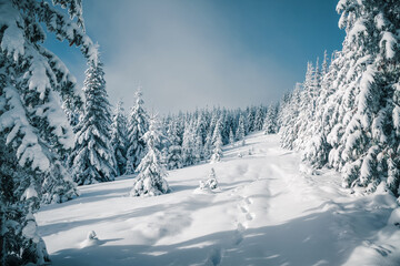 Snow covers the cozy forest, and brilliant sunlight illuminates the frozen fir trees, creating a fantastic atmosphere. New Year holidays greeting card.