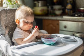 Baby Eating Raspberries in High Chair