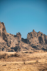 Fototapeta premium desert landscape in the desert