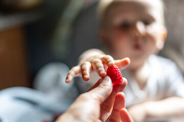 A baby eagerly reaches for a fresh raspberry held by an adult hand. The child's expression reflects curiosity and excitement, highlighting a tender moment of discovery and connection.