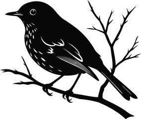 Robin bird silhouette vector sitting on minimal branch
