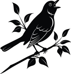 Nightingale silhouette vector singing perched on minimal branch