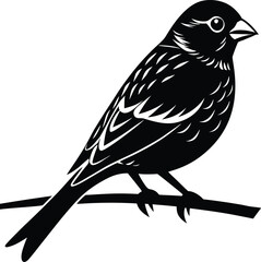Finch silhouette vector perched on branch with strong conical beak