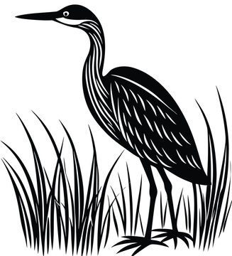 Bittern silhouette vector standing vertical among minimal marsh reeds
