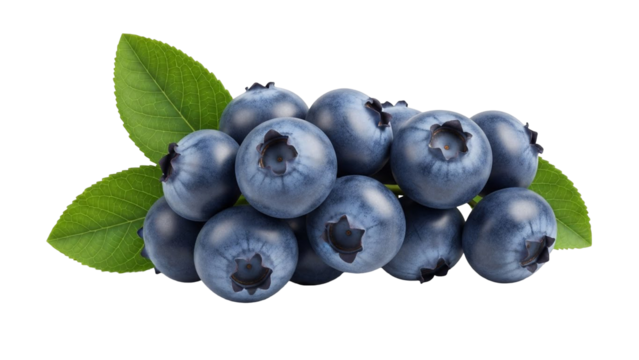 A fresh cluster of ripe blueberries with vibrant green leaves isolated on a clean white background.