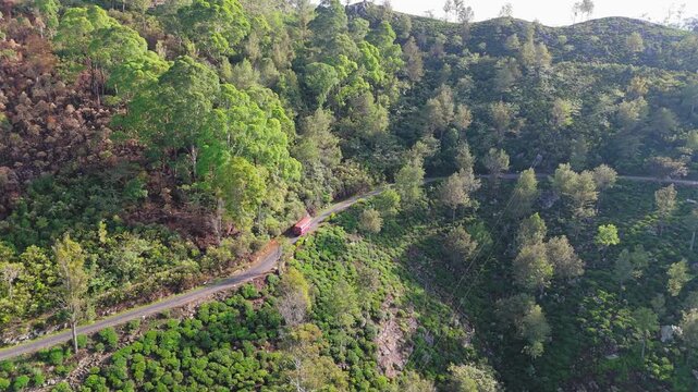 A red bus heading up a mountain road through tea plantations in the morning