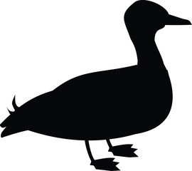 Duck Silhouette