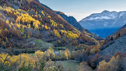 autumn landscape