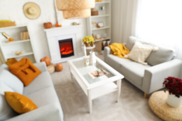 Fototapeta premium Blurred view of light living room with grey sofas, chrysanthemum flowers and fireplace