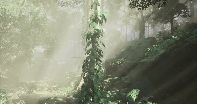 Sunlight streams through tall trees, illuminating vibrant green foliage in a tranquil forest. The atmosphere feels serene and fresh, perfect for exploration and adventure.