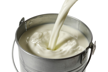 A continuous pour of fresh white milk fills a shiny silver metal bucket, creating captivating ripples and creamy texture. background removed