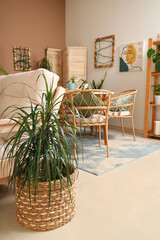 Palm tree near sofa in interior of cozy room