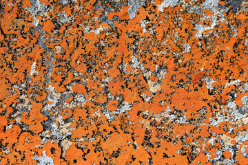 암석 표면의 추상적인 색상 패턴 © clear sky