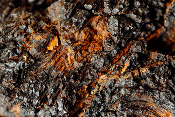 Close-up of a piece of raw Chaga mushroom with a cracked surface and a dark orange interior.macroenvironment with organic elements