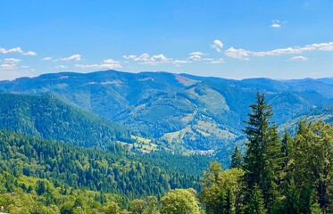 Fototapeta premium forest in the morning in Rarau Mountains