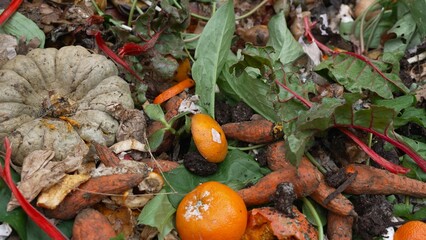 Compost bin. Animal feed repurposing certain food waste as livestock or pet feed to reduce waste