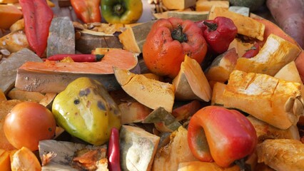 Recycling Food Waste. Leftover Halloween carving pumpkins for composting or animal feed