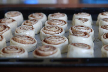 Soft raw cinnamon rolls arranged on a baking sheet, made with sweet yeast dough and cinnamon filling, ready for oven baking, recipe content and bakery promotion.