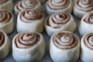 Soft raw cinnamon rolls arranged on a baking sheet, made with sweet yeast dough and cinnamon filling, ready for oven baking, recipe content and bakery promotion.