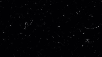 Dust Scratches Overlay for Film Look Effect. Vintage Retro Cinematic Dirt Grain Texture Loop with Vertical Lines and Noise 4k video animation seamless loop - Powered by Adobe