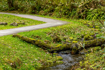 Autumn Colors in Daisetsuzan National Park in Hokkaido, Japan