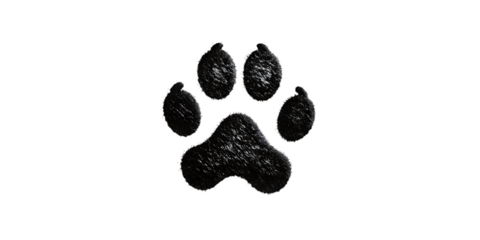 Textured paw print on dark background isolated on a transparent background animal