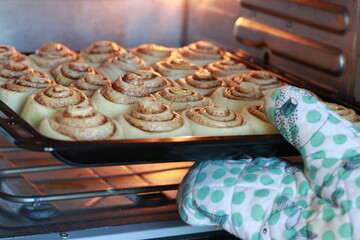 Fresh unbaked cinnamon rolls arranged on a tray, made from fluffy yeast dough with cinnamon sugar filling, ready for baking and recipe content.