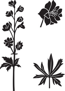 Black and White Botanical Sketch Illustration of Delphinium Flower