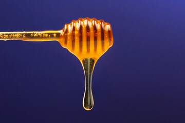 fresh honey dripping from a spoon on a blue background. organic vitamin health food