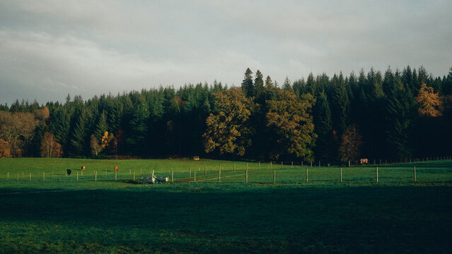 autumn landscape in the mountains at sunset