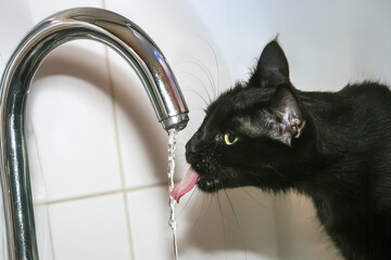Black cat with vibrant green eyes licks water from a stainless steel faucet, set against white tiles, highlighting a playful and natural feline behavior