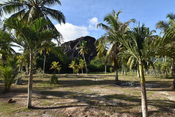 Plantations &agrave; l'Union Estate Farm La Digue aux Seychelles