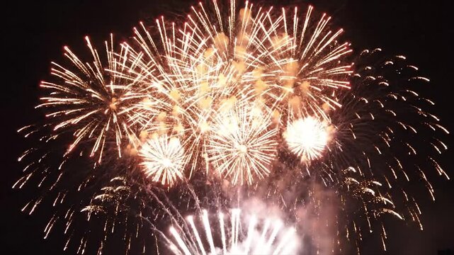 Spectacular Fireworks Display Illuminating the Night Sky.