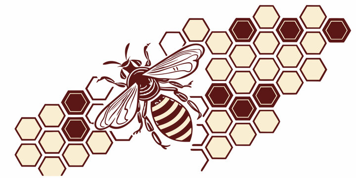 Stylized bee or wasp illustration flying over a honeycomb pattern of hexagonal cells in shades of brown and beige