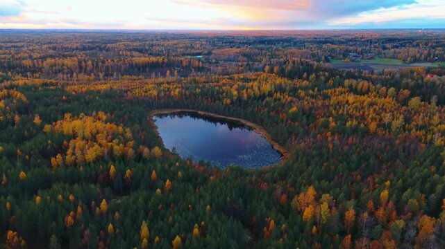 Aerial view of a secluded lke in a golden autumn foret at sunset.