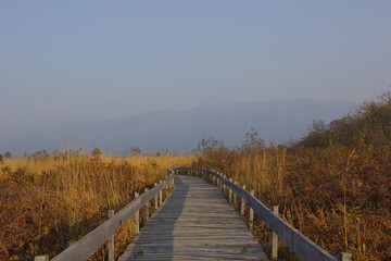 Obraz premium Wooden boardwalk through autumn grassland leading to mountains