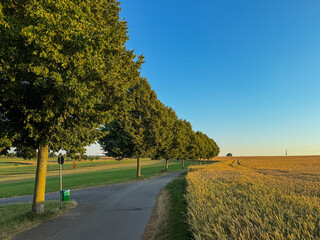 road in the countryside