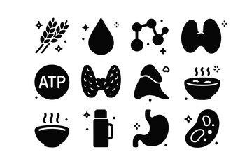 Body Warmth Energy Icons. Energy sources for body warmth. Solid icons set of Energy sources for body warmth: carbohydrates icon, fats droplet, proteins,