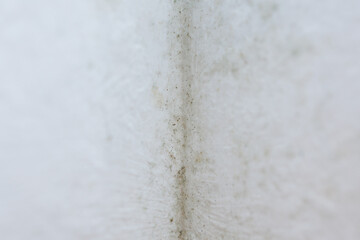 Mold growth in the corner of a residential room wall