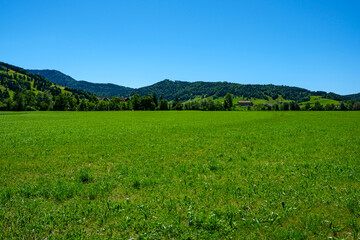 Expansive Green Meadow in the Aegeri Valley, Switzerland – Rolling Hills, Forested Mountains, and Clear Blue Sky